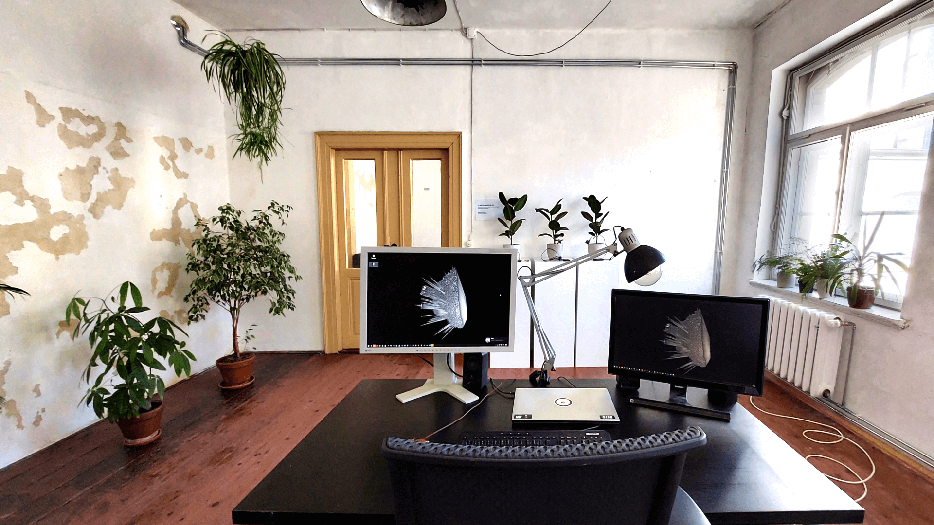 studio_with_plants_and_warm_sunlight